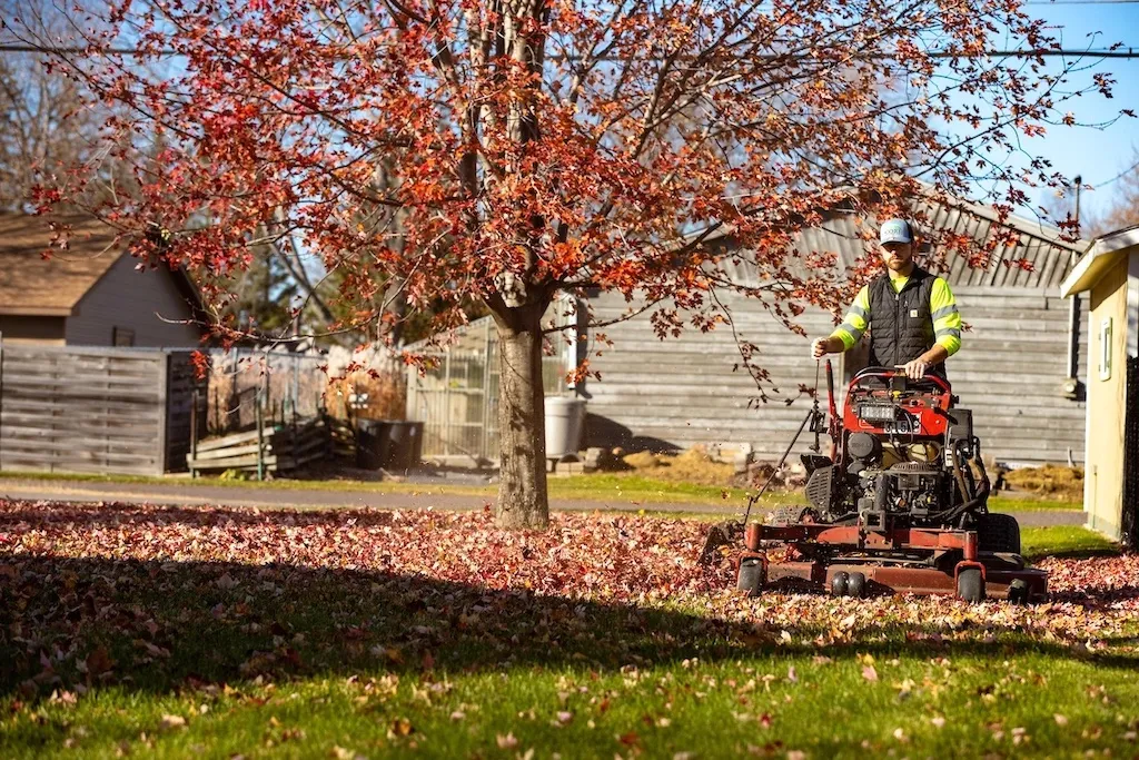 Landscaping