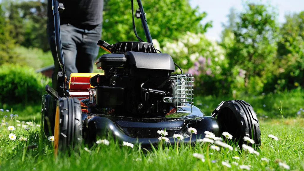 Push Lawnmower